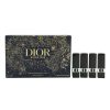 Dior 4 Pieces Set Lipstick Mini Size Flowers Limited Edition