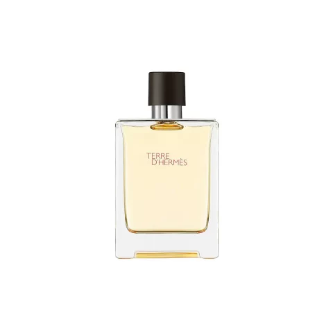 Hermes Terre D’hermes Eau De Toilette 100ml